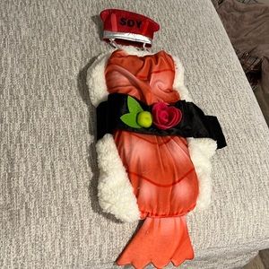 Dog Halloween costume